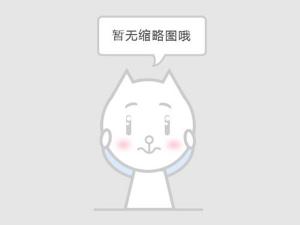 特材法蘭調(diào)節(jié)閥